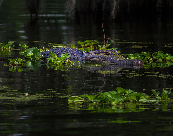 EPT_6280