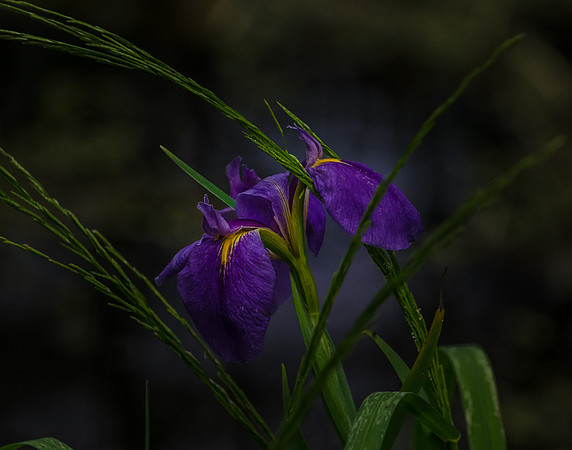 EPT_6394