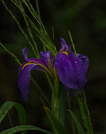EPT_6395