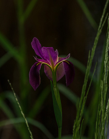 EPT_6396
