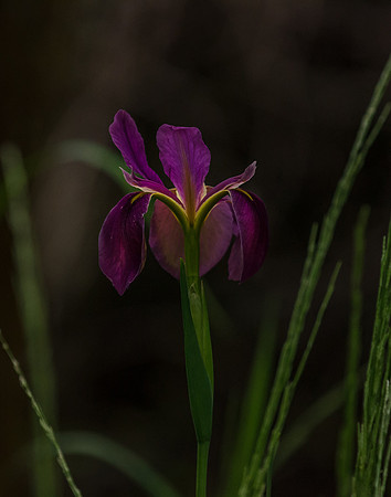 EPT_6397
