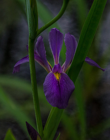 EPT_6400