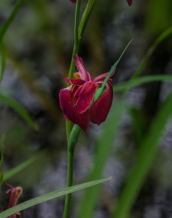 EPT_6401