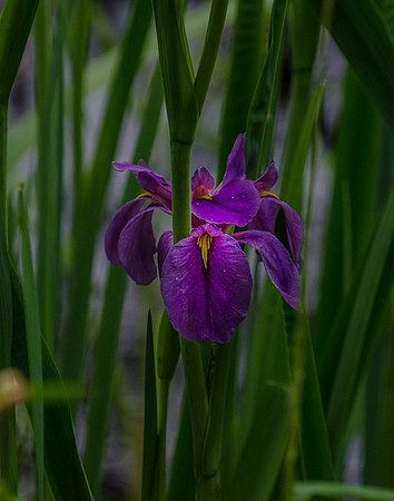 EPT_6402