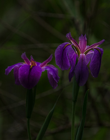 EPT_6404