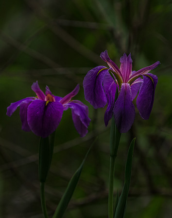 EPT_6405
