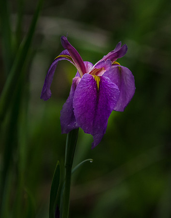 EPT_6403