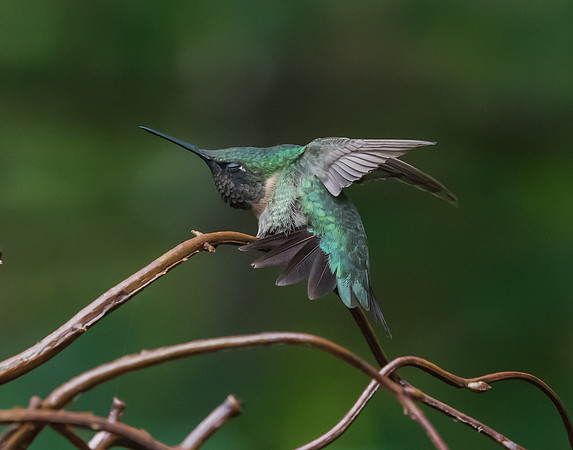 DSC_4687-2