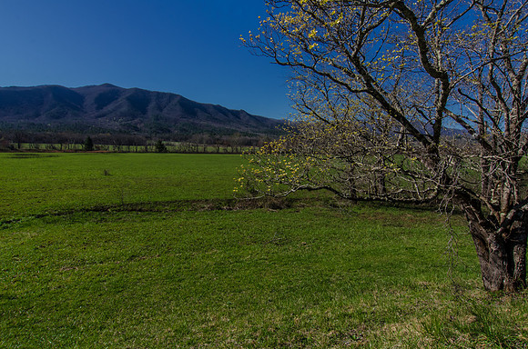 EPT_0581-Edit-Edit