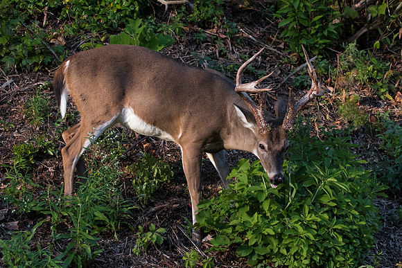 EPT_5561