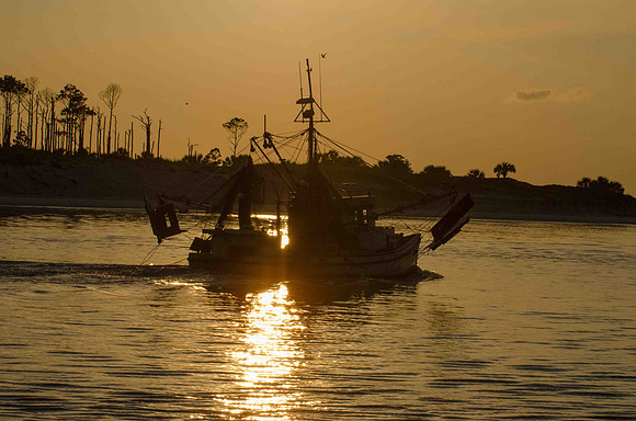 Shrimp Boat