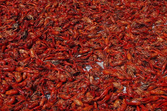 Crawfish Boil