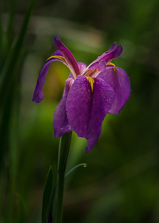 EPT_6403