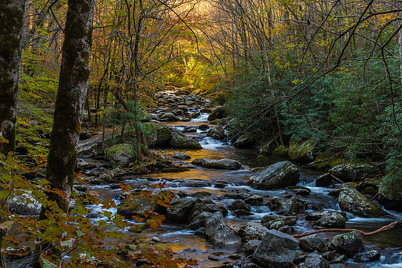DSC_5454-HDR