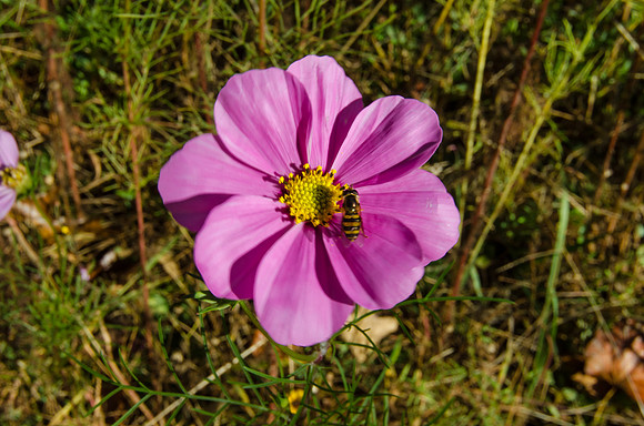 EPT_8847