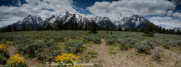 EPT_3718-Pano