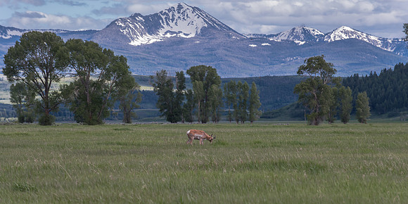 EPT_3785