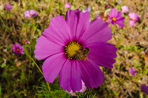 EPT_8820