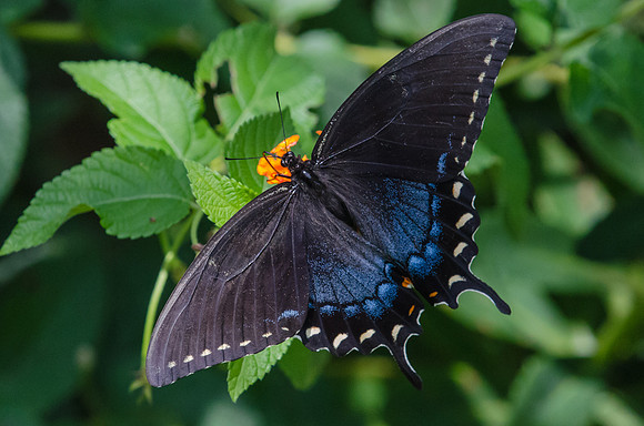 EPT_8371