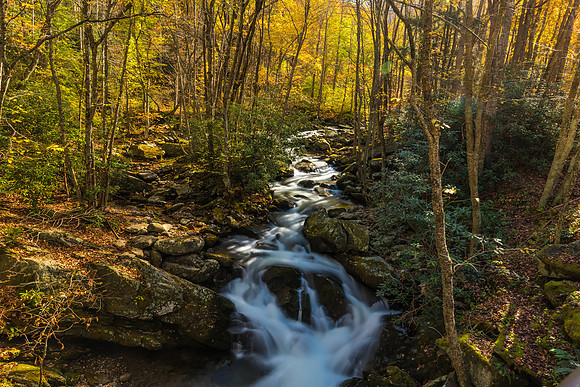 DSC_5566-HDR