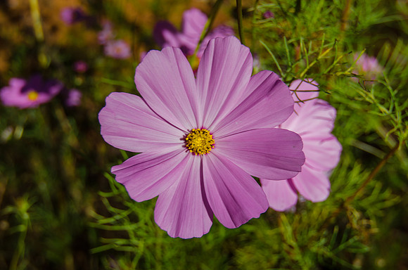 EPT_8858