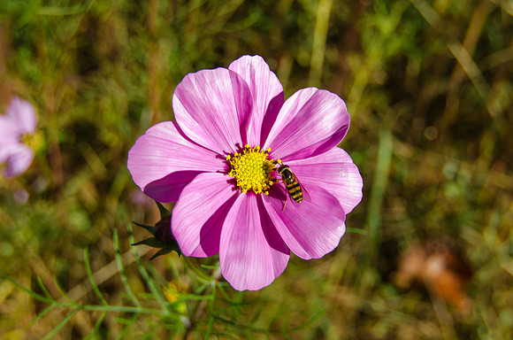 EPT_8850