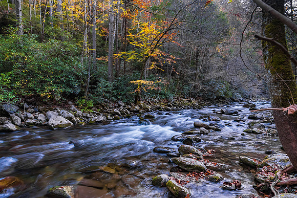 DSC_5295-HDR