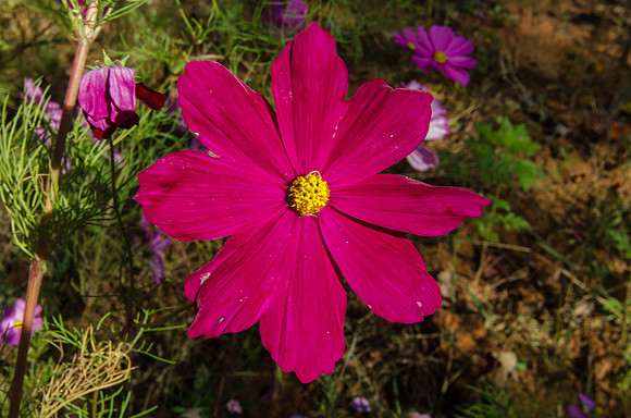 EPT_8835