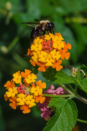 EPT_8306